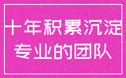 十年积累沉淀_专业的团队