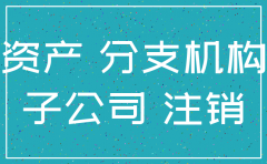 公司注销 控股子公司怎么办