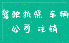 公司注销了 汽车怎么验