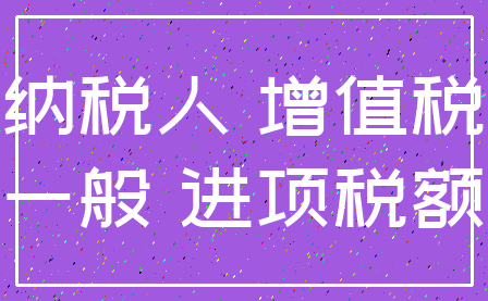 纳税人 增值税_一般 进项税额