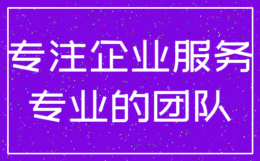 专注企业服务_专业的团队