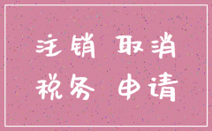 个人能注销公司吗
