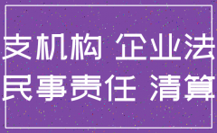 分公司已注销 诉讼主体