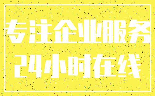 专注企业服务_24小时在线