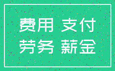 费用 支付_劳务 薪金