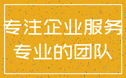 专注企业服务_专业的团队