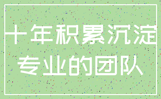 十年积累沉淀_专业的团队