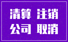 分公司注销网上怎么公示