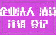 公司被注销后诉讼主体资格