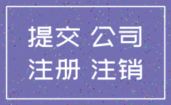 有限公司注销登记提交材料