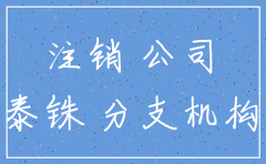 重庆分公司注销材料