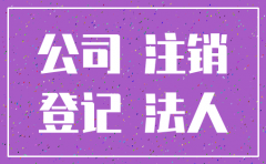 特许经营人公司注销