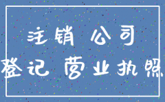 公司注销的依法解散书