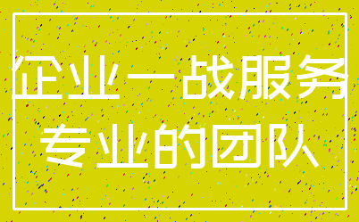 企业一战服务_专业的团队