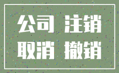 能不清算直接注销公司吗
