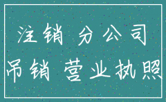 分公司吊销总公司注销