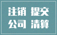 石家庄新注册的公司怎么注销