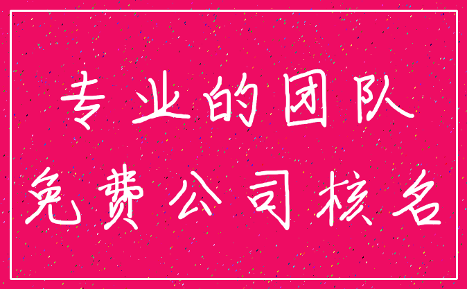 专业的团队_免费公司核名