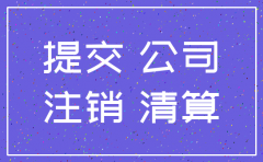 国企二级公司注销要报