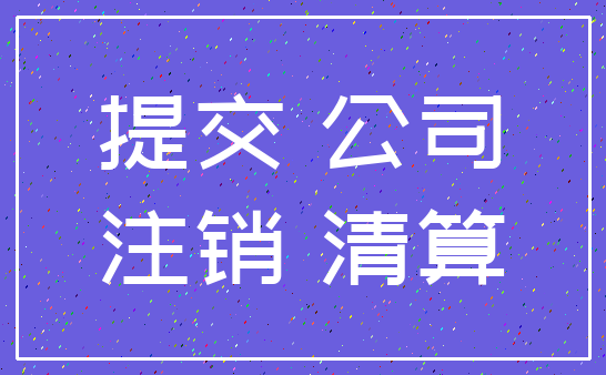 提交 公司_注销 清算