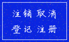 公司注销可以告法人吗