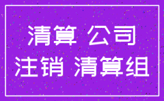 公司没有资产注销的费用