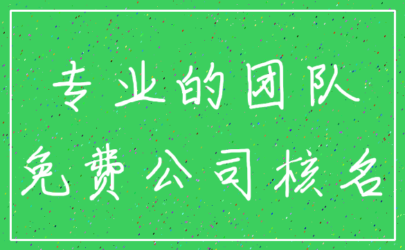专业的团队_免费公司核名