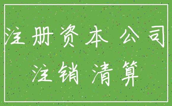 注册资本 公司_注销 清算