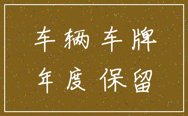 车辆 车牌_年度 保留