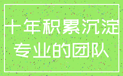 十年积累沉淀_专业的团队
