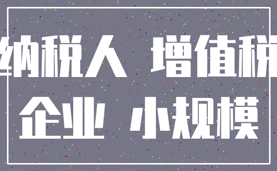 纳税人 增值税_企业 小规模