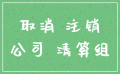 深圳公司外地分公司如何注销