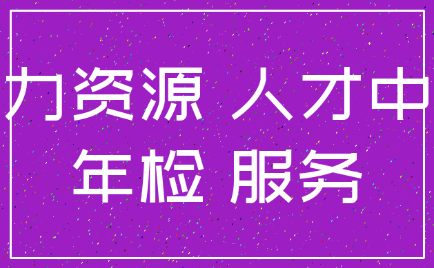 人力资源 人才中介_年检 服务