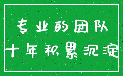 专业的团队_十年积累沉淀