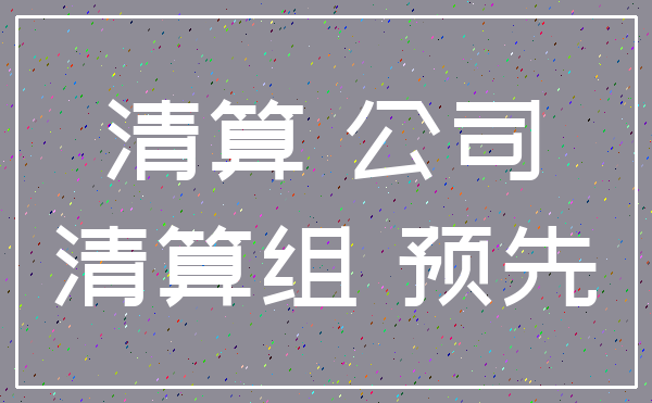 清算 公司_清算组 预先