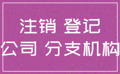 北京西城区公司注销