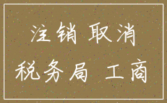 上海金山区公司注销