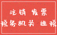 广州无经营零申报公司注销