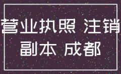 成都武侯公司注销流程