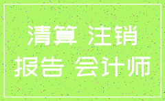 注销公司审计报告