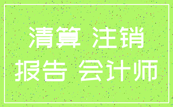 清算 注销_报告 会计师