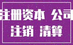 公司注销资本抽逃