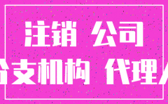 苏州分公司注销流程