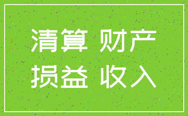 清算 财产_损益 收入