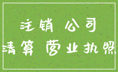 分公司子公司注销流程图
