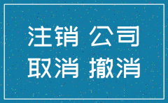 怎样从网上注销公司
