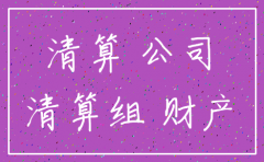 工商分公司注销清算报告