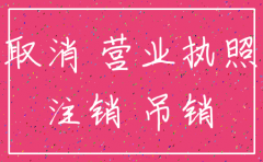 外资分公司国税注销流程