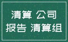 公司注销清算组报告