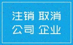 深圳怎么注销公司